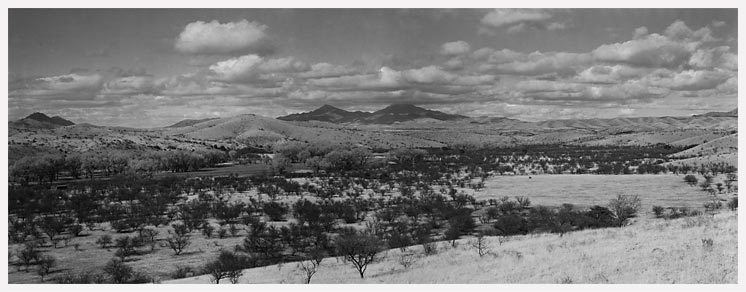 Buena Vista Ranch Panorama