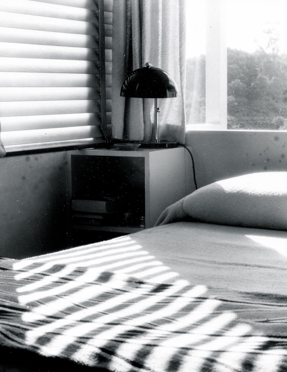 Schindler house for Henwar Rodakiewicz