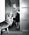 Just another day at home for Rita Hayworth. Ned Scott captures her in a warm moment with her German shepherd as the two exchange high fives at Rita's doorway. Rita was filming Lady From Shanghai at the time, and this photograph along with others of her around the house supported her role in the film.